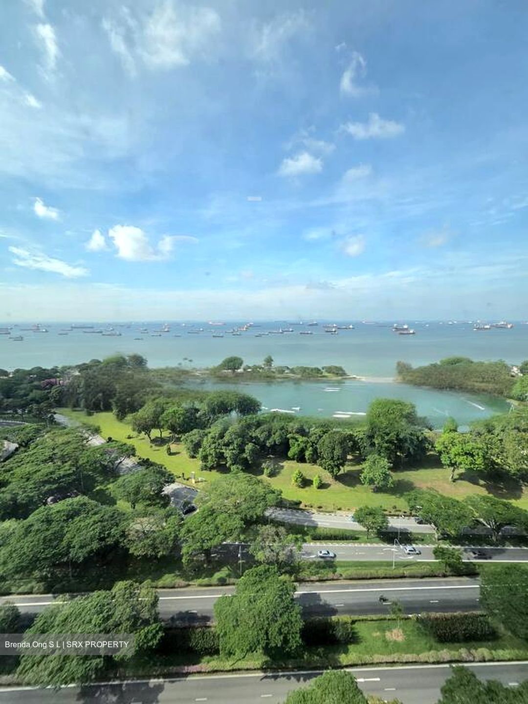 Lagoon View (D15), Apartment #451270631